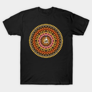 Mandala Magic - Trip Around The Sun - Shakyamuni Buddha T-Shirt